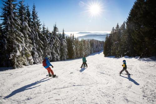 Ferienwohnung Sonnengluck mit großzugigem Sudbalkon 681m von Lenzkirch entfernt