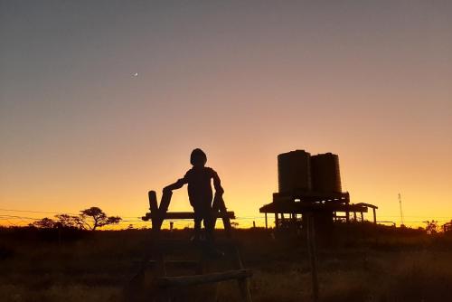 Surrounding environment, Farmstay at off-grid self sufficient Heartwood Homestead in Quenera North