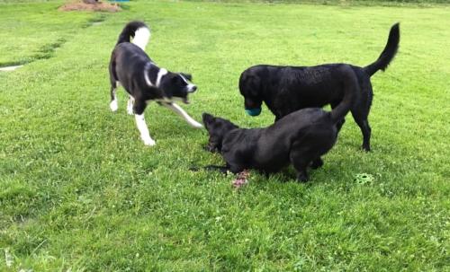 Kellerstockl am veganen Bio-Lebenshof "Varm - die vegane Farm" in Loipersdorf