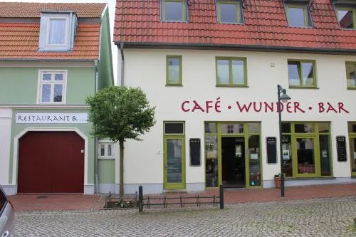 Turmfalke in Bad Sülze, Deutschland