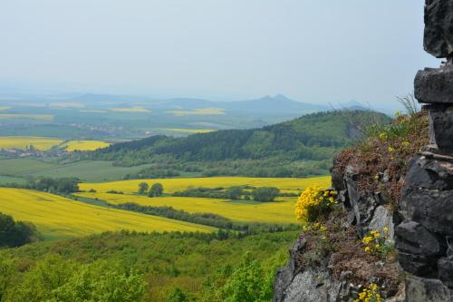 Waldgasthof Bad Einsiedel - image 12