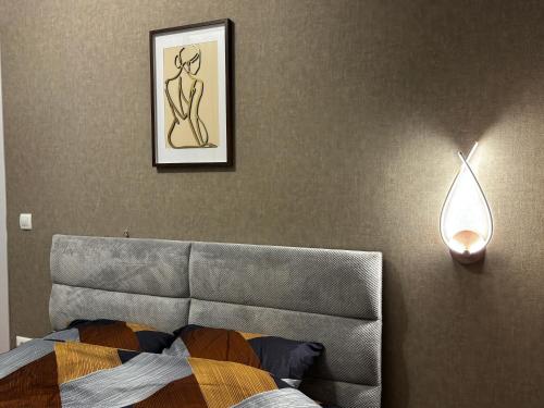 Luxury and coziness at the center of the city, Skopje (photo 4)