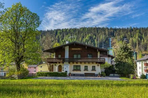 Soldanella 1 by Alpenidyll Apartments in Ramsau am Dachstein, Österreich
