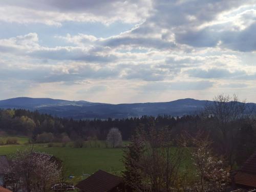 Haus-Daxberg-idyllisch-gelegen-im-Bayerischen-Wald in Eppenschlag