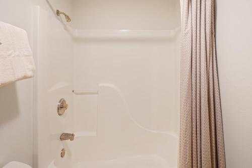 Apartment image 5