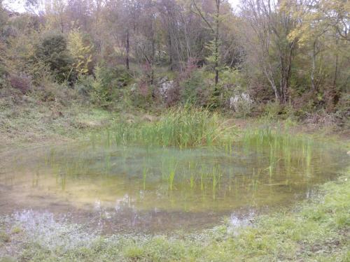 Osterija Na Planinci - image 12