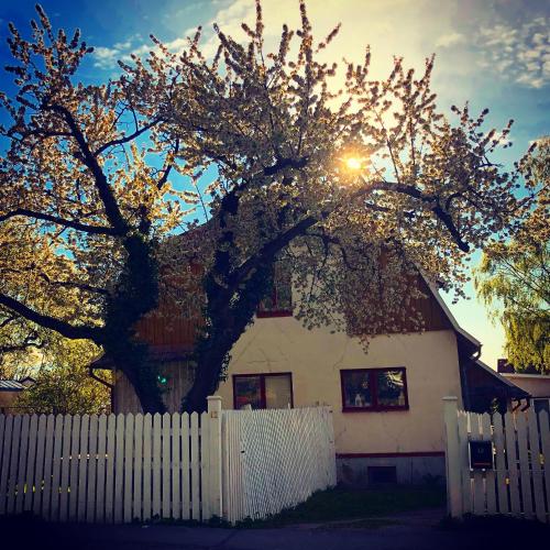 Villa Betty, Visby