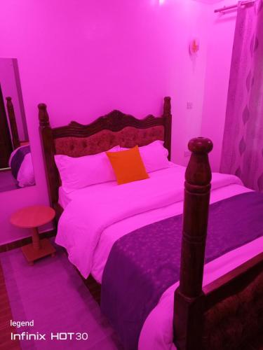 Jukins 2 bedroom home in נניוקי