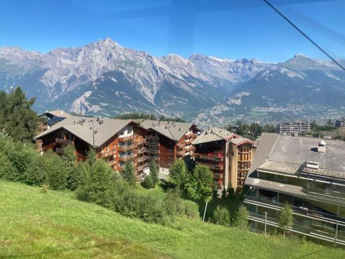  Wohnung GREPPON NEND200 in Nendaz