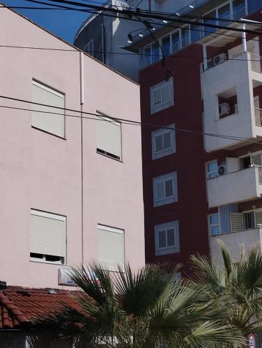 Hotel Gega - image 2