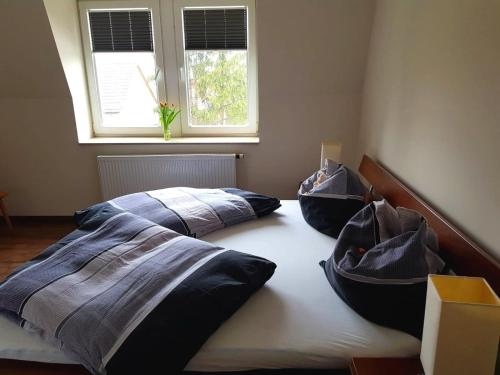 Ferienwohnung an der Elbfähre, Drezno (zdjęcie 10)