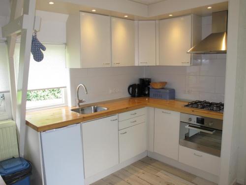 Ferienhaus HET GANZELAND by FeWo-PLAN OOST100 direkt am LAUWERSMEER gelegen in Dongeradeel