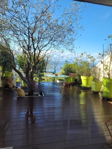 Appartement les pieds dans le Lac Léman (Appartement les pieds dans le Lac Leman) in Anthy-sur-Leman