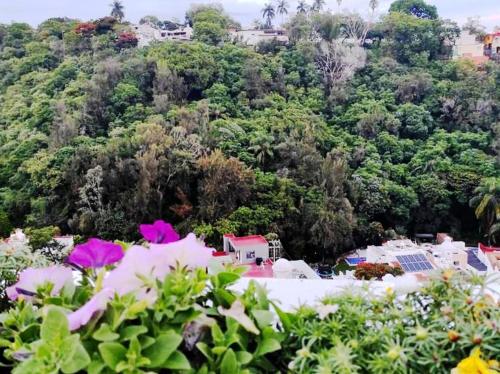 Wind view, Hill View Villa in Cuernavaca 8px