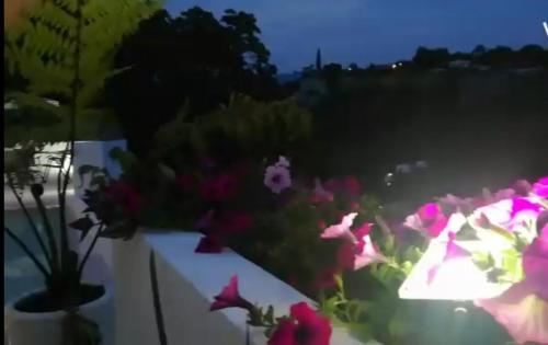 Wind view, Hill View Villa in Cuernavaca 8px