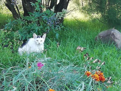 Ferienwohnung Land Fleesensee 659-01