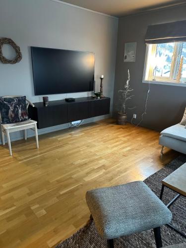 共用Lounge/電視區, Leilighet i 1 etg Røldal in 羅爾達爾