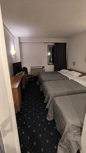 HOTEL QUADRIFOGLIO - image 9
