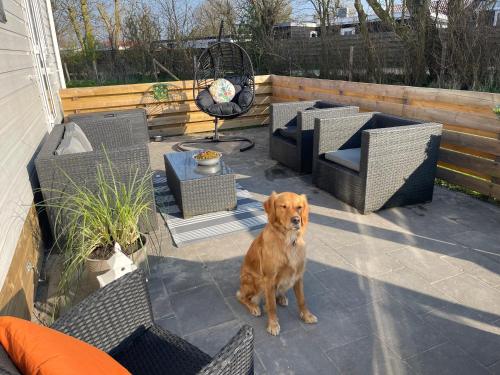 Ferienhaus mit Meerblick Nr46 direkt am Wattenmeer in Westerland
