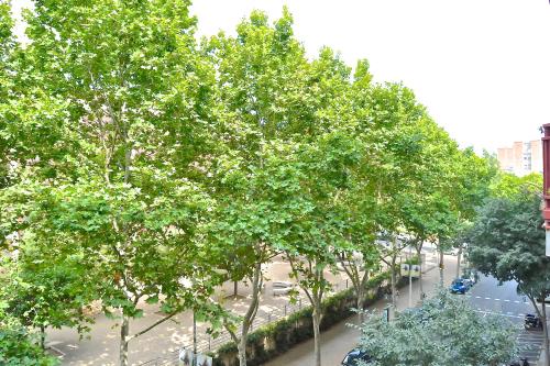 Ascot by Bizflats Terrace Apartment near l'Auditori - image 2