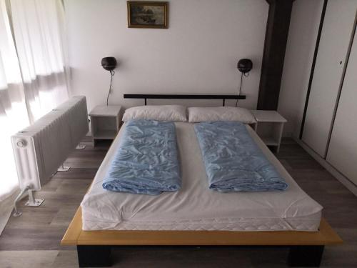 Apartment in Chiemgau near Chiemsee Lake
