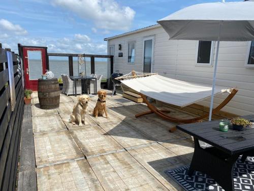 Traumlage Nr 58 Traumblick direkt am Wattenmeer erste Reihe unendliche Weite, eingebettet in der Nat in Westerland