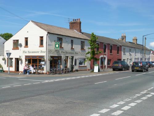 The Sycamore Tree, , Cumbria