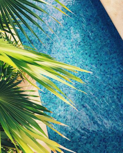 On the Island luxury and calm Apt Exclusive