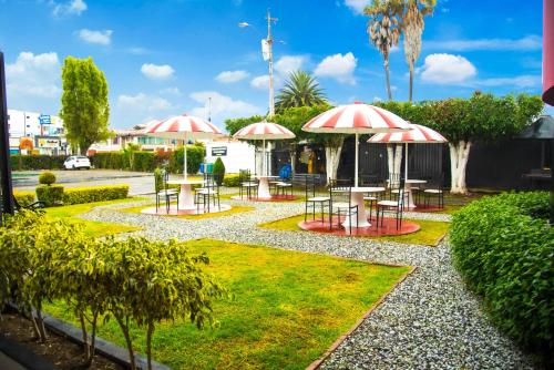 Vrt, Hotel la Giralda in Ibarra