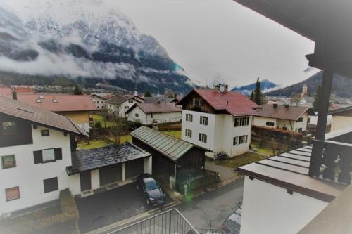 Schneeglöckchen -558- in Mittenwald, Deutschland