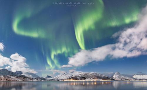 Fjordbotn Camping - image 12