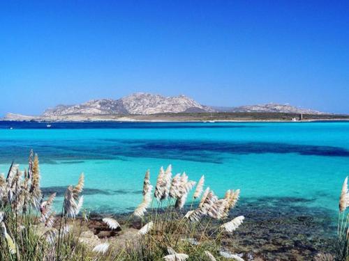 Apartment in Porto Torres near sea