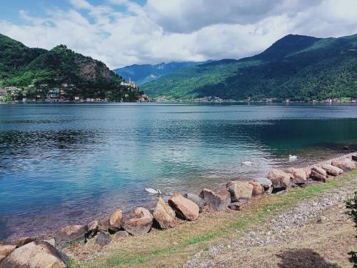 plaža, Lugano lake paradise with SUP 5ppl in Brusino Arsizio