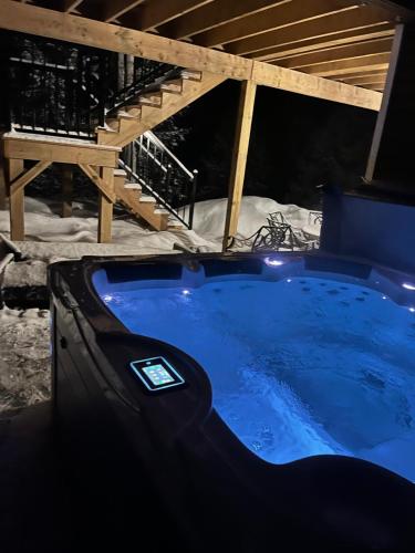 Waterfront Algonquin Retreat,Hot Tub & Sauna in Barrys Bay (ON)