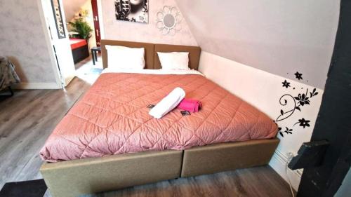 Coconing Appart Hyper Centre Château Gare à 5min Coconing Appart Hyper Centre Château Gare à 5min