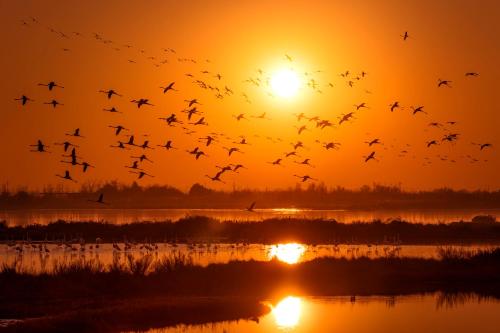 Jesolo Pines Beach House - Host Solution