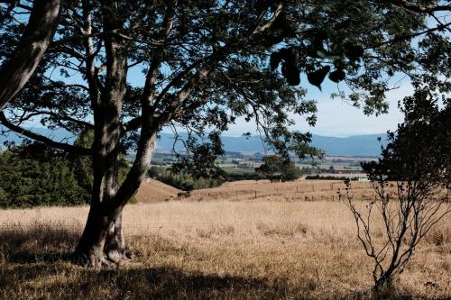 A cabin with a big view, comfort and tranquility, close to vines, Martinborough (foto 9)