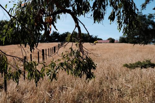 A cabin with a big view, comfort and tranquility, close to vines, Martinborough (foto 8)
