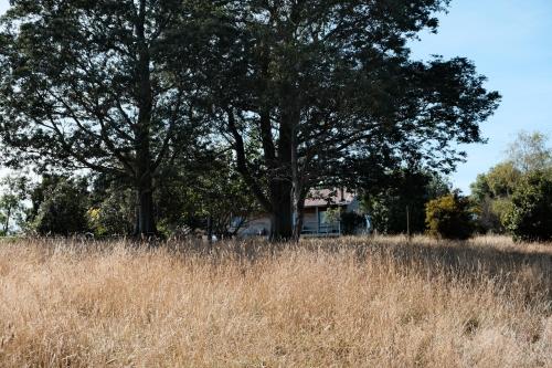 A cabin with a big view, comfort and tranquility, close to vines, Martinborough (foto 6)