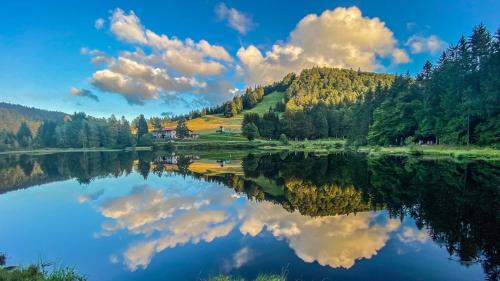 Jolie T2, 55 m, centre ville soultz in Soultz-Haut-Rhin