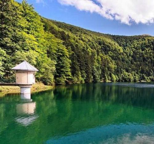 Jolie T2, 55 m, centre ville soultz in Soultz-Haut-Rhin