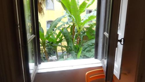 Bed and Breakfast Adduci's House – Rome