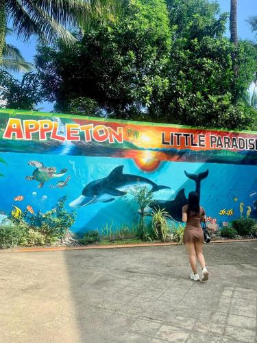 BEACH HOUSE - Appleton Liitle Paradise Beach Resort & Restaurant, Real (photo 8)
