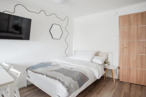 Stylish Loft In The Hearth Of Historic Centre, Lublaň (fotografie 10)