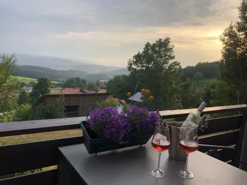 Apartment Tälerblick Maxi -NEU MODERNISIERT- in Böbrach, Deutschland