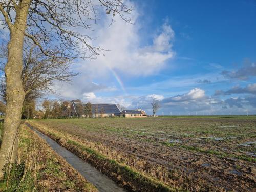 Rand van Wieringen Ibiza en Afrika suite