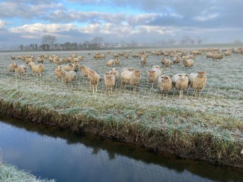 Rand van Wieringen Ibiza en Afrika suite