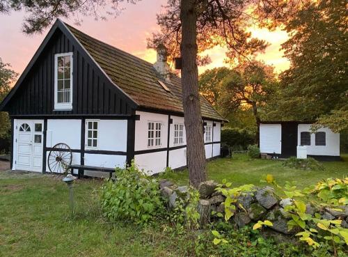 Discover Danish hygge - Location saisonnière - Neksø