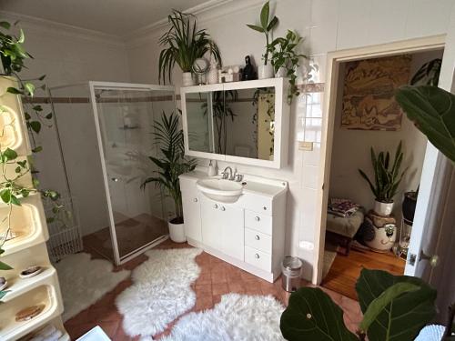 Shower, Sydney Harbour Designer Terrace Guest Wing in Balmain