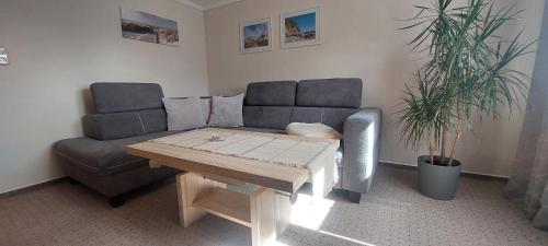 Rosi, Zingst (foto 3)